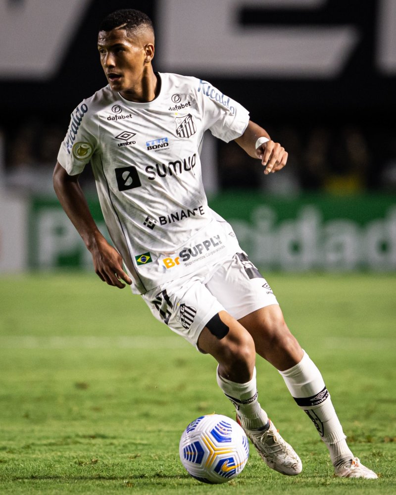 这一观点引 这一观点引