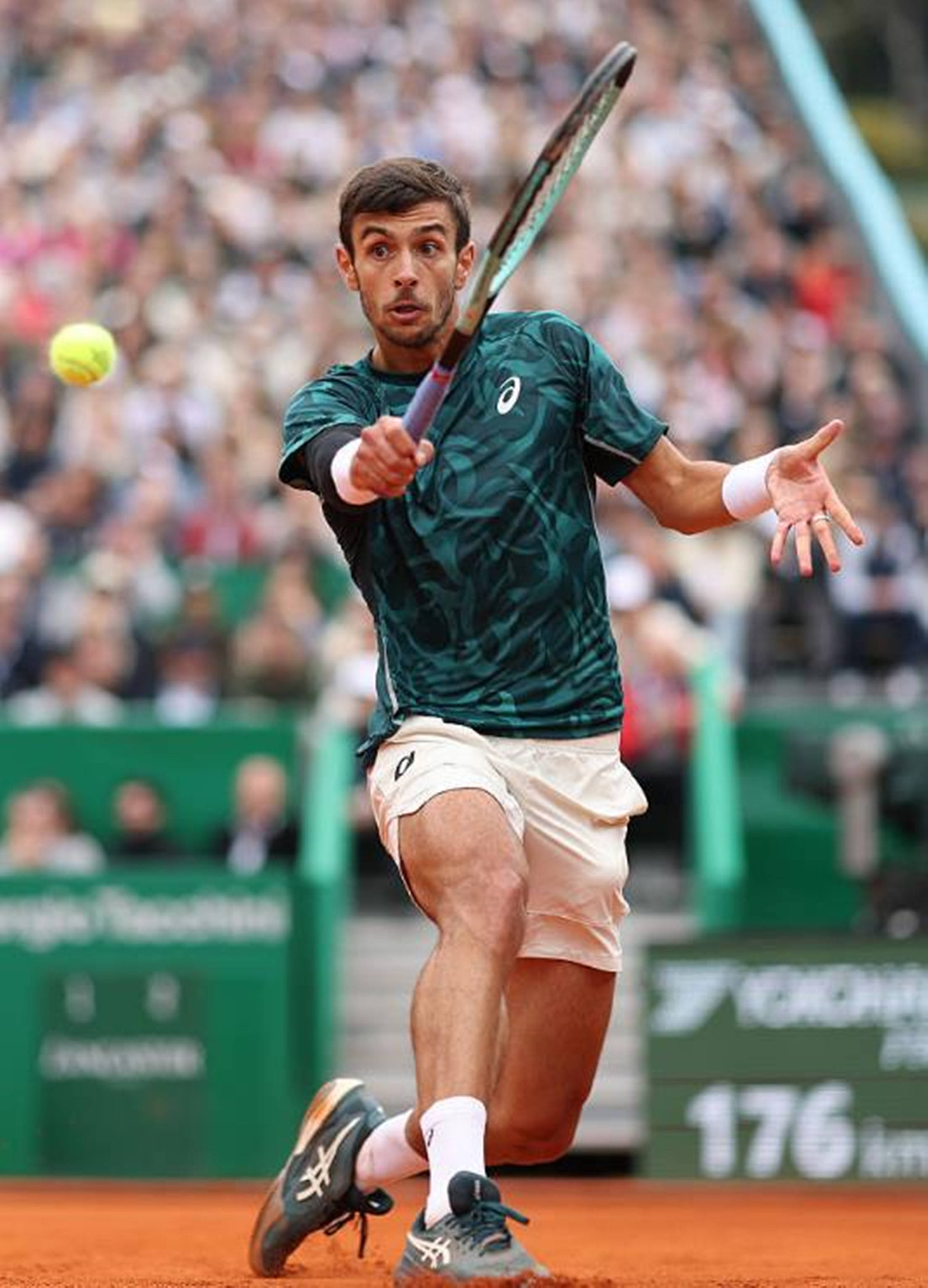 在此役展现 在此役展现