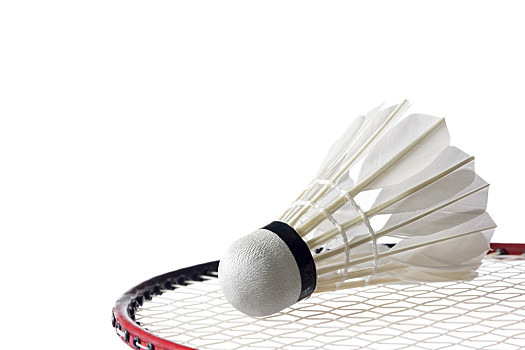 的调整能力 的调整能力